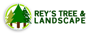 Rey's Tree & Landscape